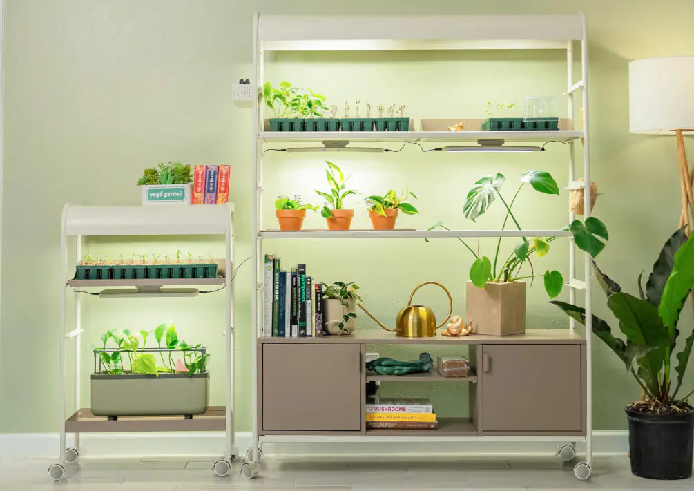 Elevate Your Garden Experience